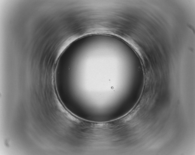 X0000096201390200801251003