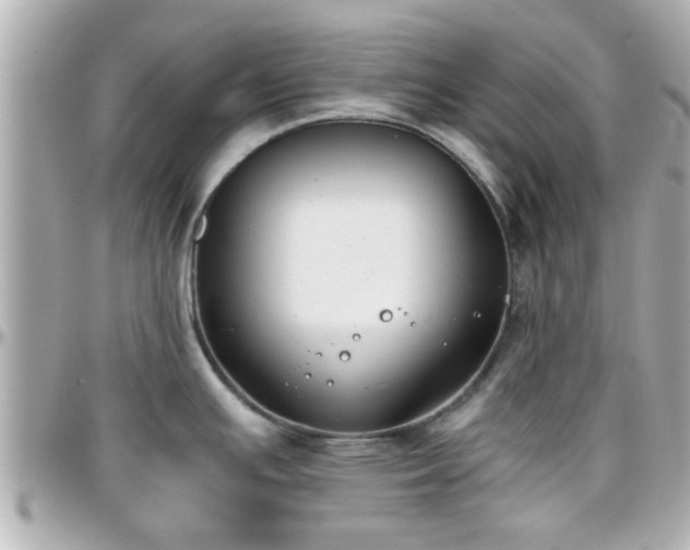 X0000096201391200801251003