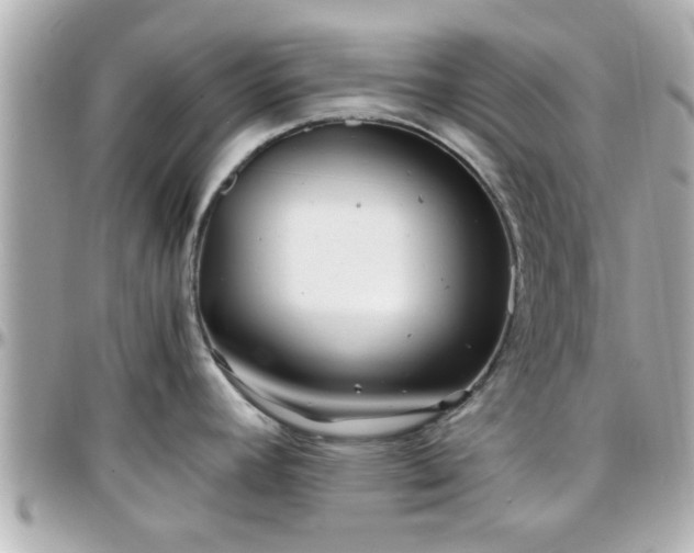 X0000096201392200801251003
