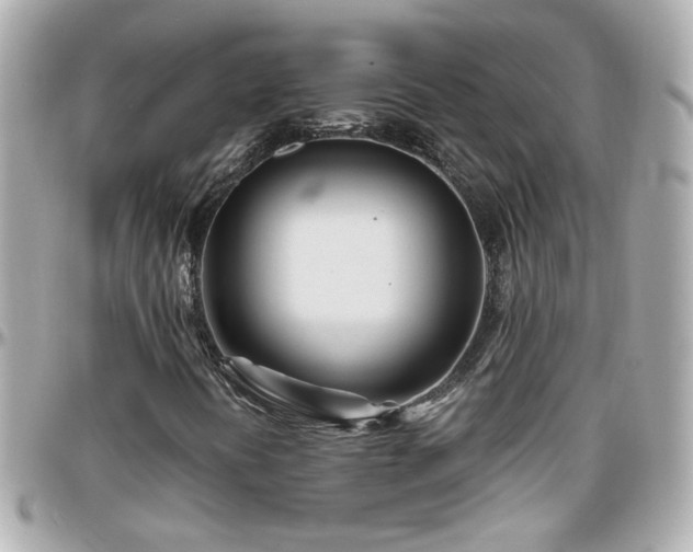X0000096201394200801251002