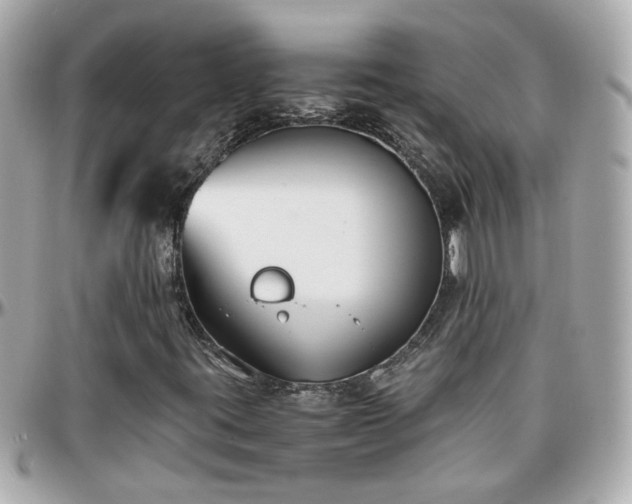 X0000096201395200801251002