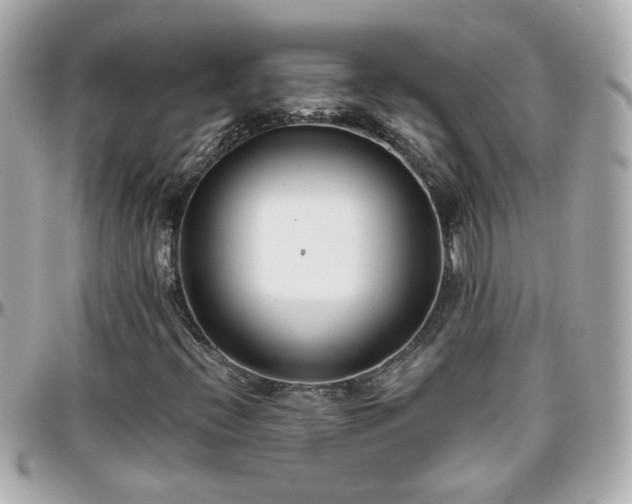 X0000096201396200801251002