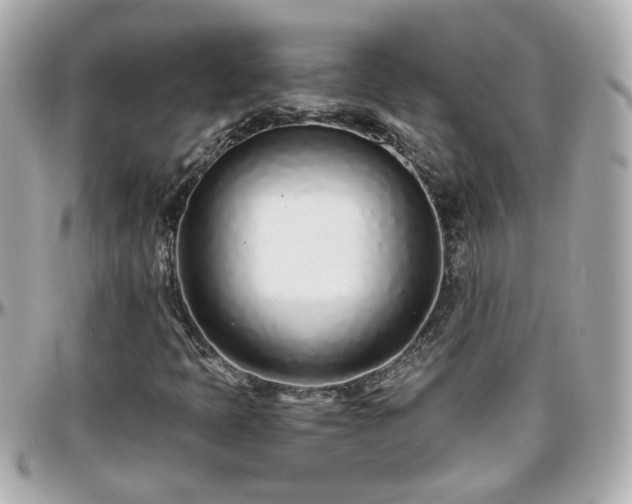 X0000096201397200801251002
