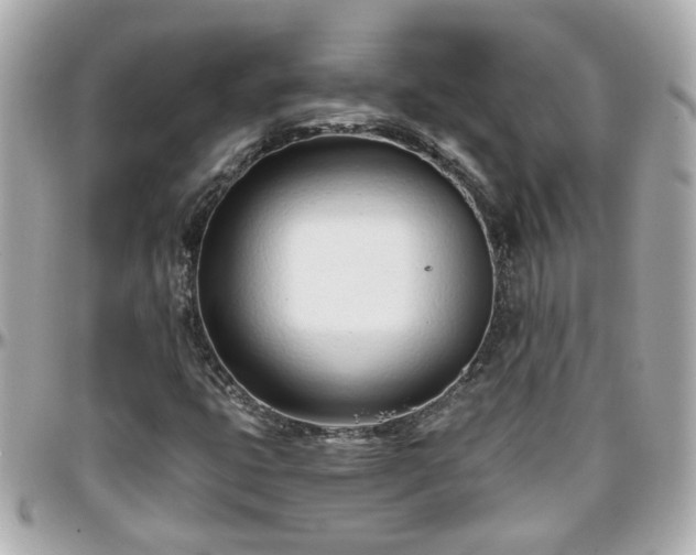 X0000096201399200801251002