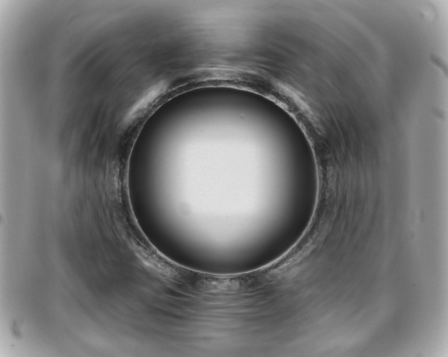X0000096201403200801251003