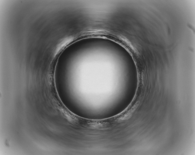 X0000096201405200801251003