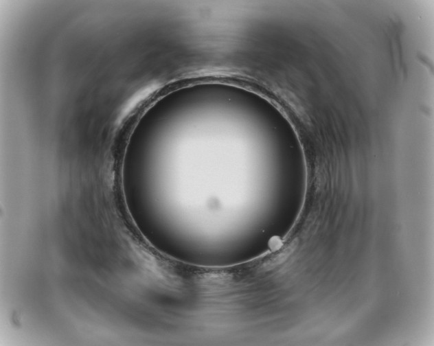 X0000096201406200801251003