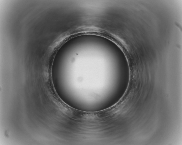 X0000096201407200801251003