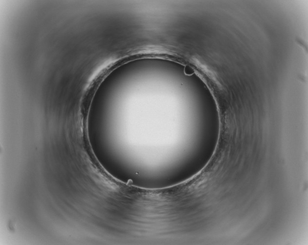 X0000096201408200801251003