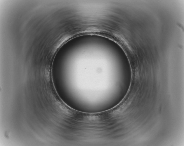 X0000096201409200801251003