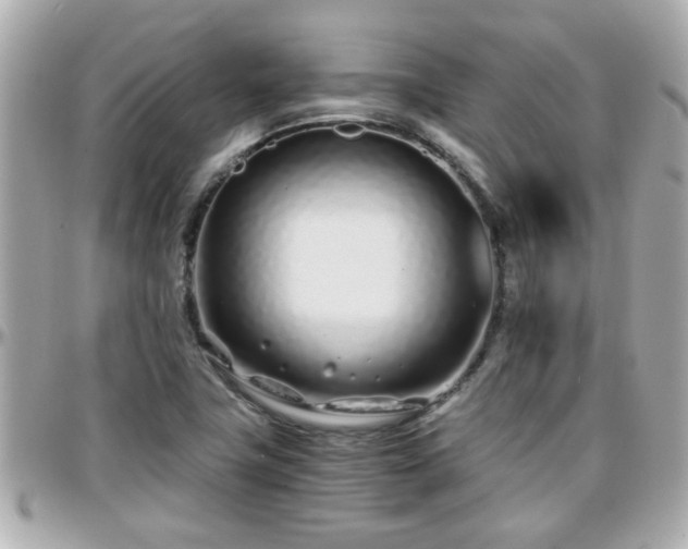 X0000096201411200801251003