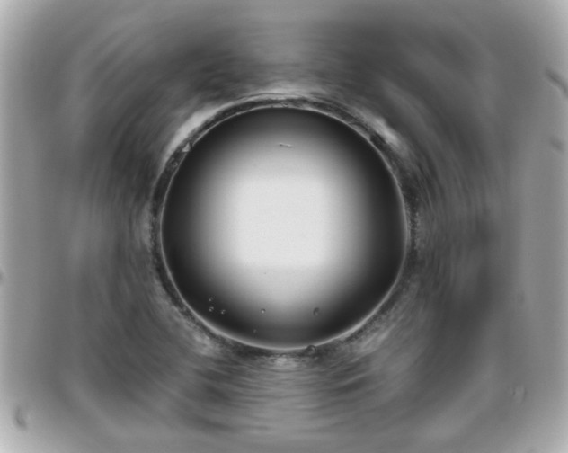 X0000096201412200801251003