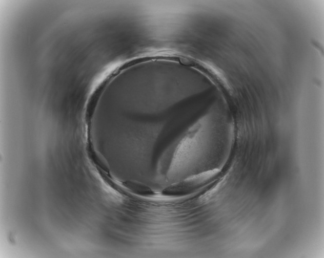 X0000096201414200801251003