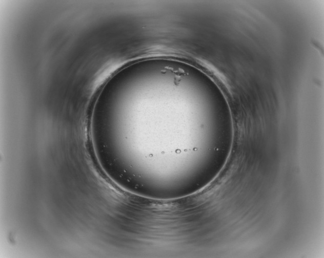 X0000096201415200801251003