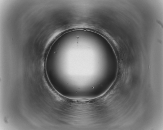 X0000096201416200801251003