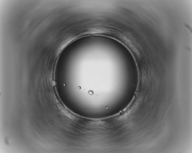 X0000096201417200801251003