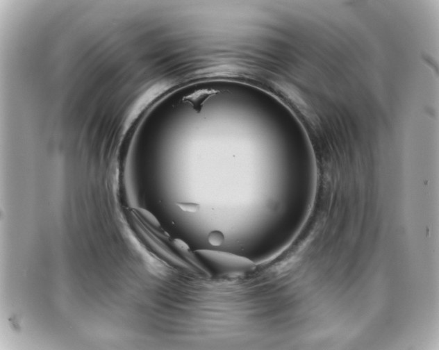 X0000096201418200801251003