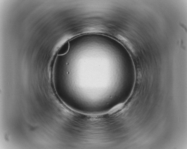 X0000096201419200801251003