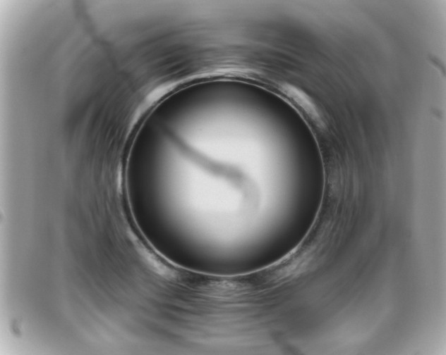 X0000096201420200801251003