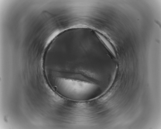 X0000096201422200801251003
