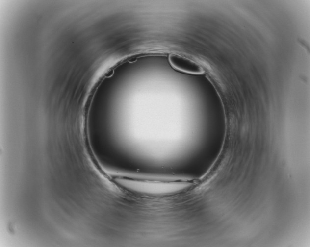X0000096201424200801251003