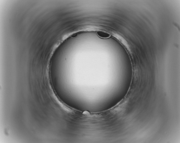 X0000096201429200801251003