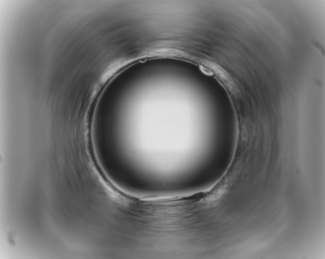 X0000096201430200801251003