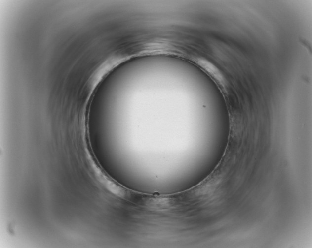 X0000096201431200801251003