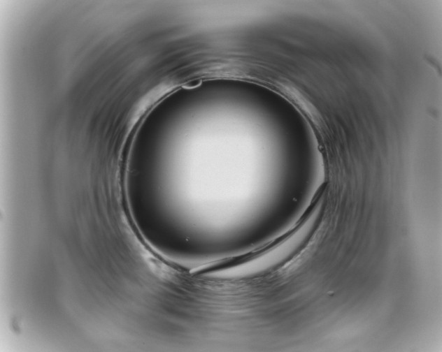 X0000096201434200801251003