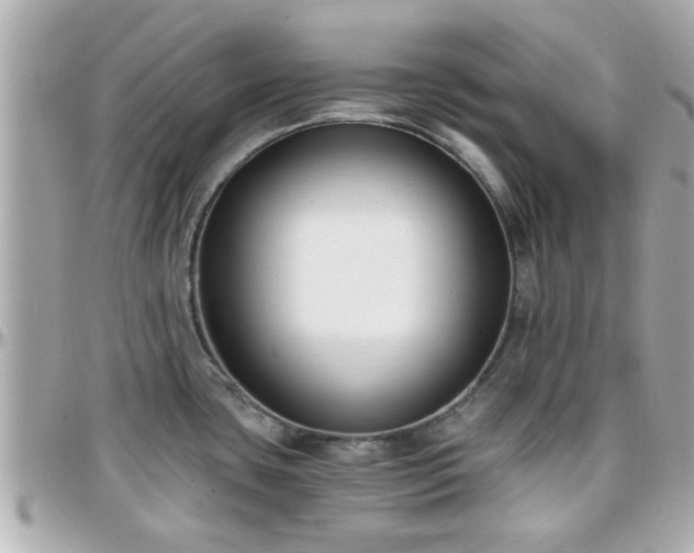 X0000096201435200801251003