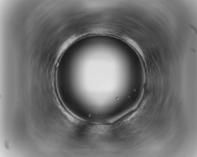 X0000096201437200801251003