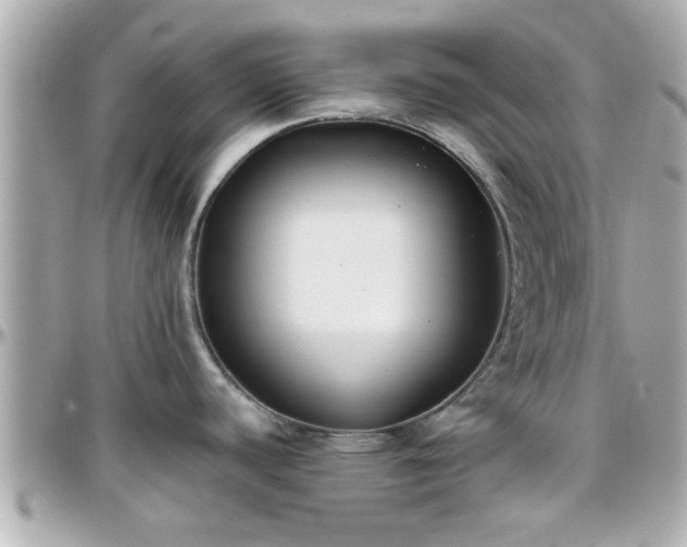 X0000096201440200801251003