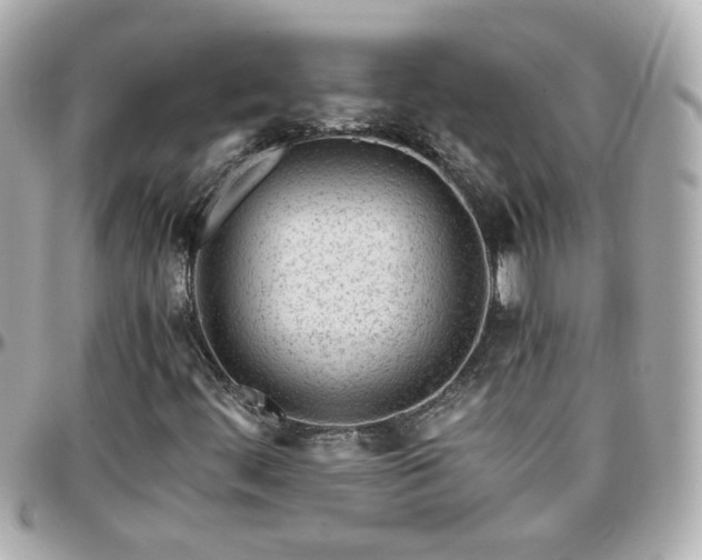 X0000096201444200801251002