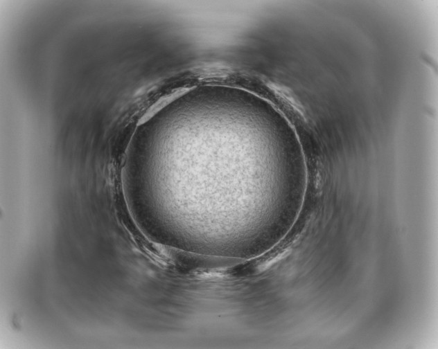 X0000096201445200801251002