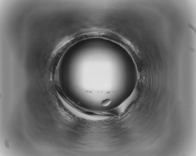 X0000096201448200801251002