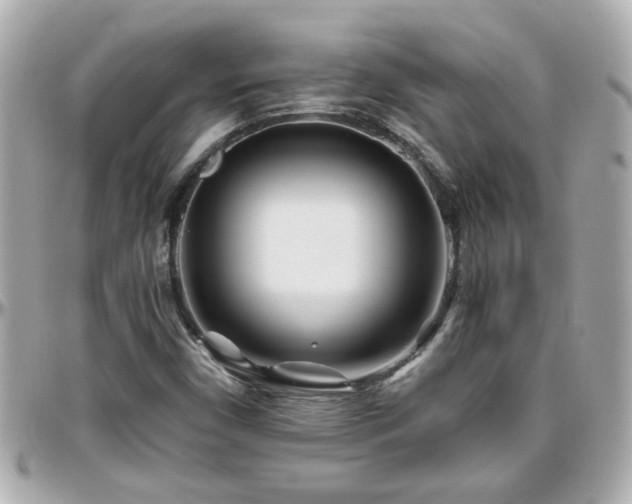 X0000096201450200801251002