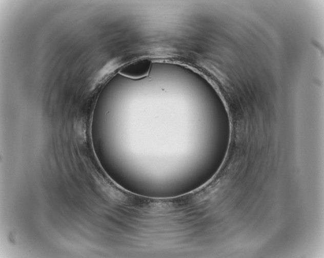 X0000096201451200801251002