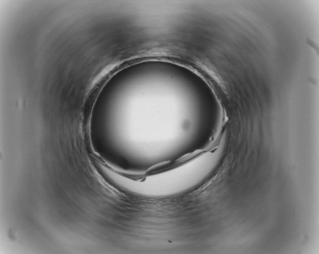 X0000096201452200801251002
