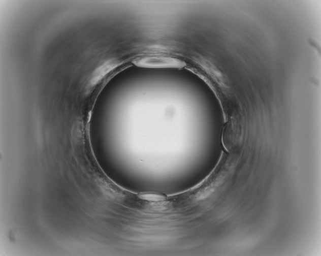 X0000096201453200801251002