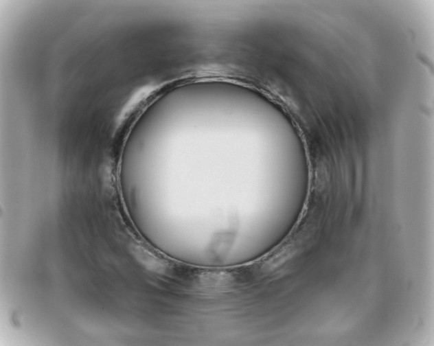 X0000096201454200801251002