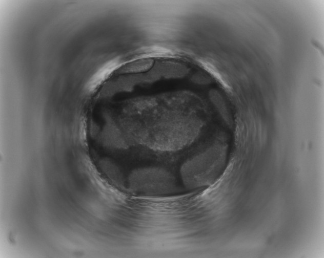 X0000096201455200801251002