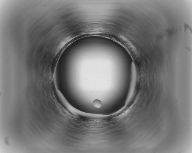 X0000096201457200801251002
