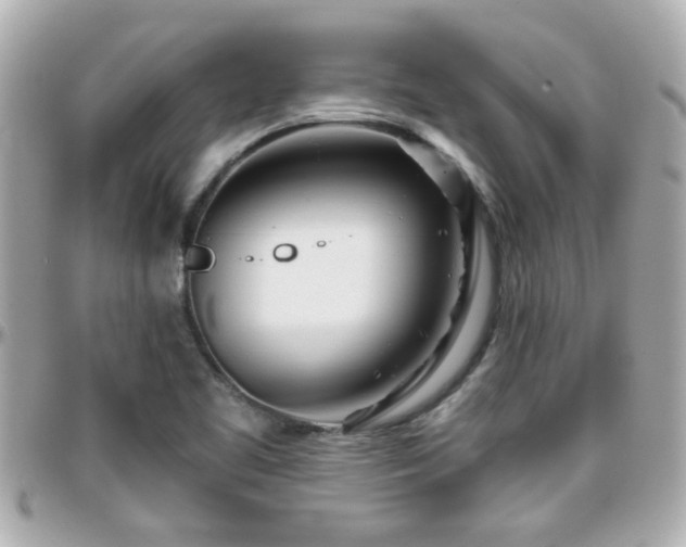 X0000096201461200801251002