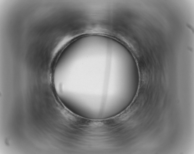 X0000096201462200801251002