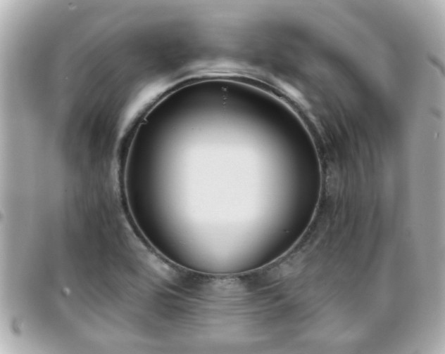 X0000096201464200801251002