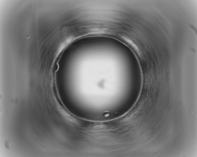 X0000096201467200801251002