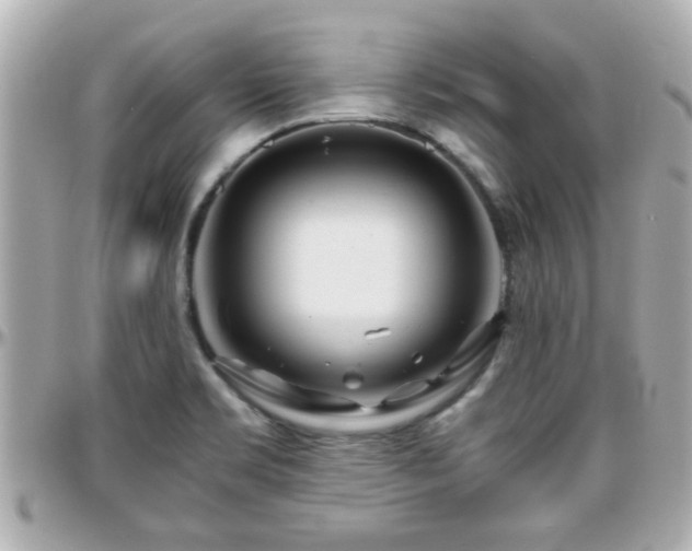 X0000096201469200801251002