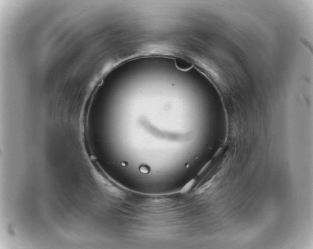 X0000096201471200801251002