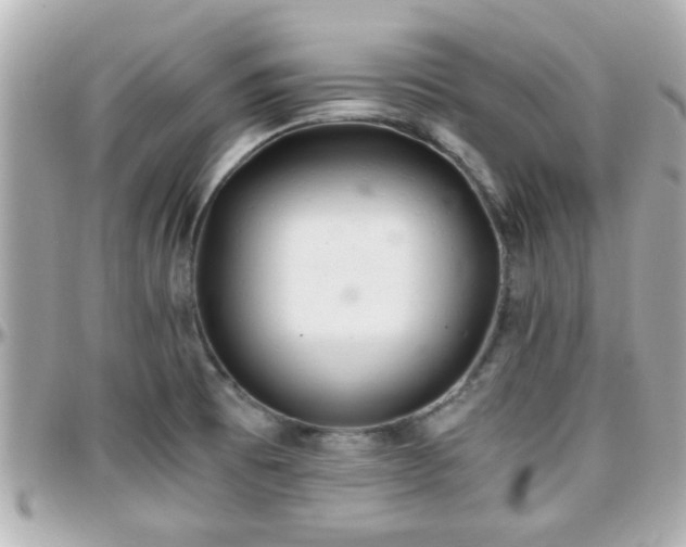 X0000096201473200801251002