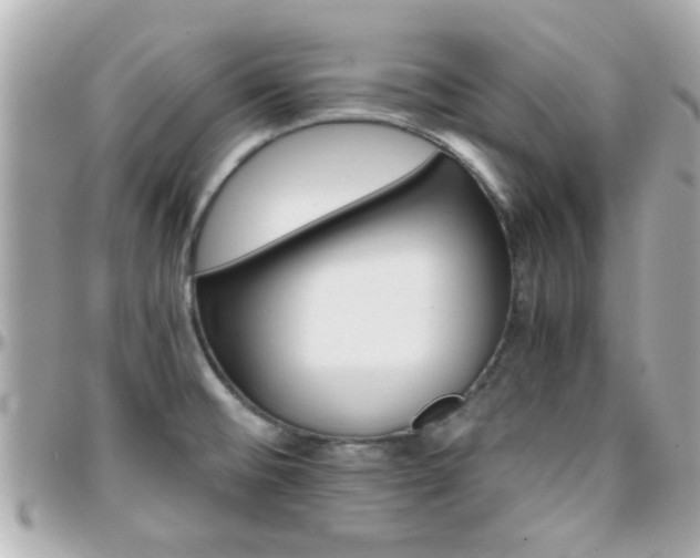 X0000096201476200801251002